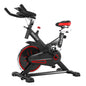 Powertrain RX-200 Spin Bike