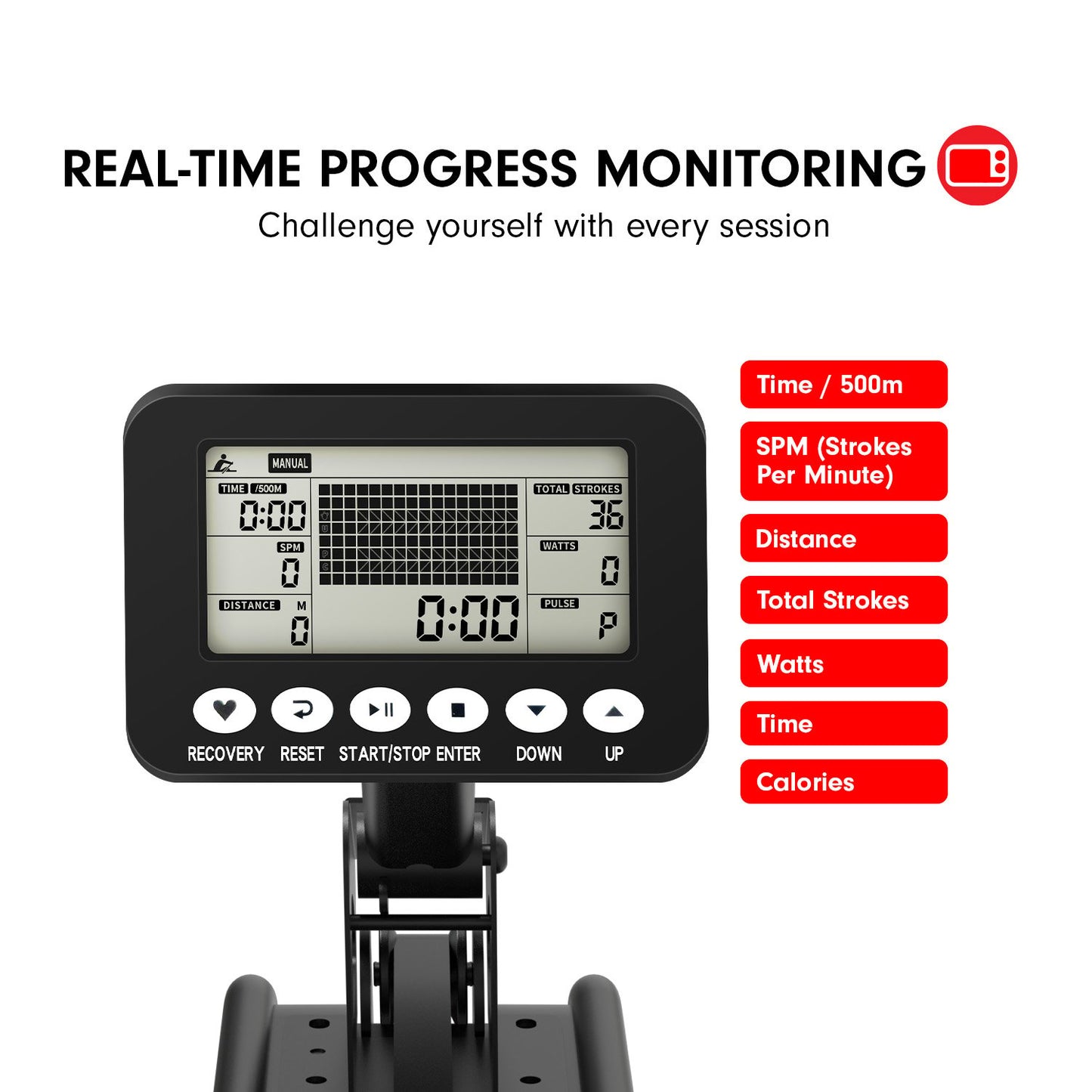 Powertrain 13L Water Resistance Rowing Machine