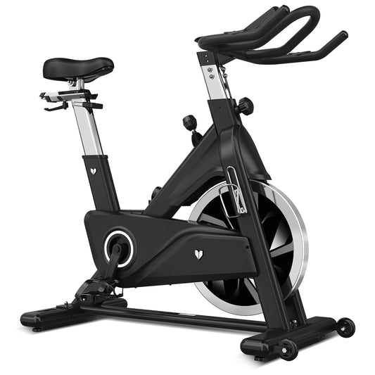 Lifespan Fitness SM-800 Spin Bike