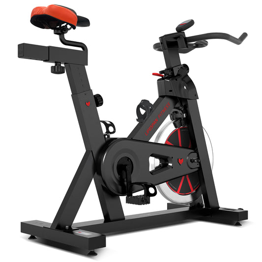 Lifespan Fitness SM-800 Spin Bike