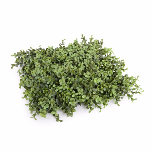 Deluxe Buxus Hedge UV Stabilised 150cm X 150cm