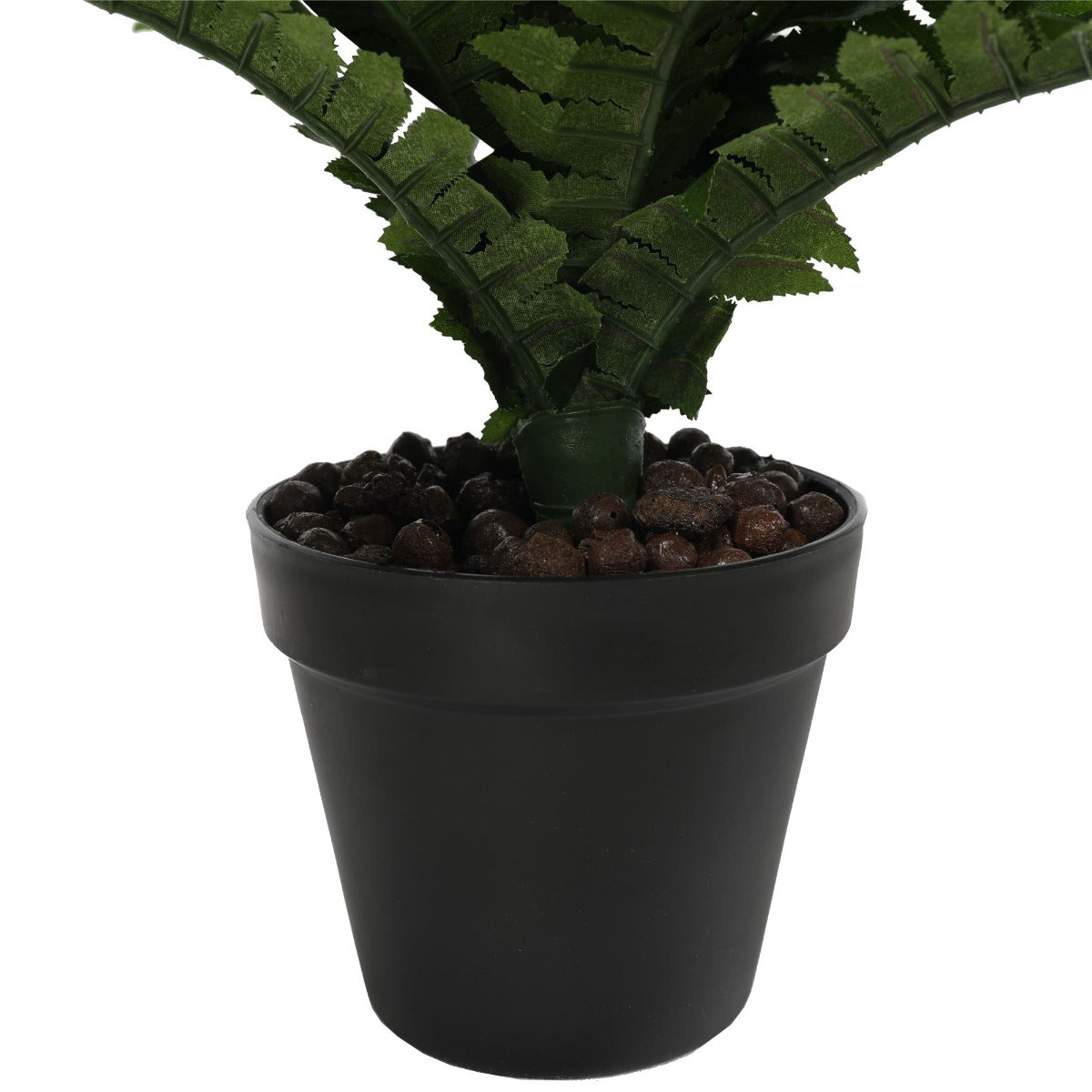 Potted Natural Green Boston Fern 70cm x 50cm