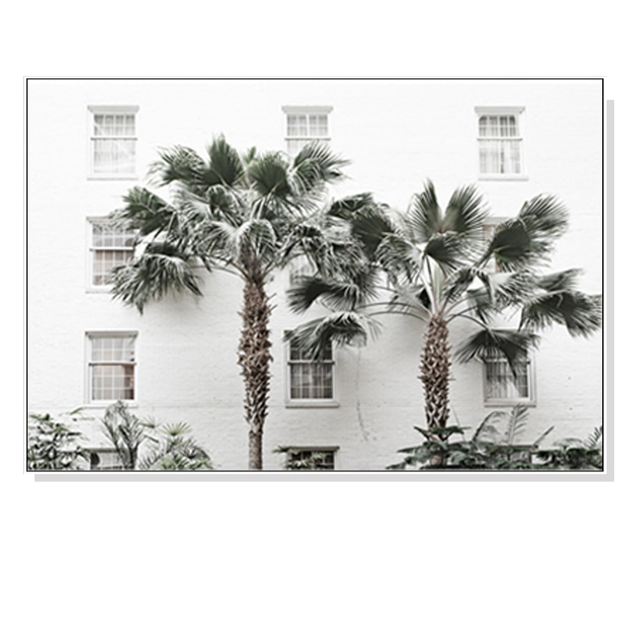 Palm Trees White Wall 70cm x 100cm