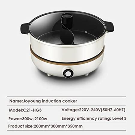 Joyoung IH Induction cooking pot 300W-2100W