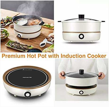 Joyoung IH Induction cooking pot 300W-2100W