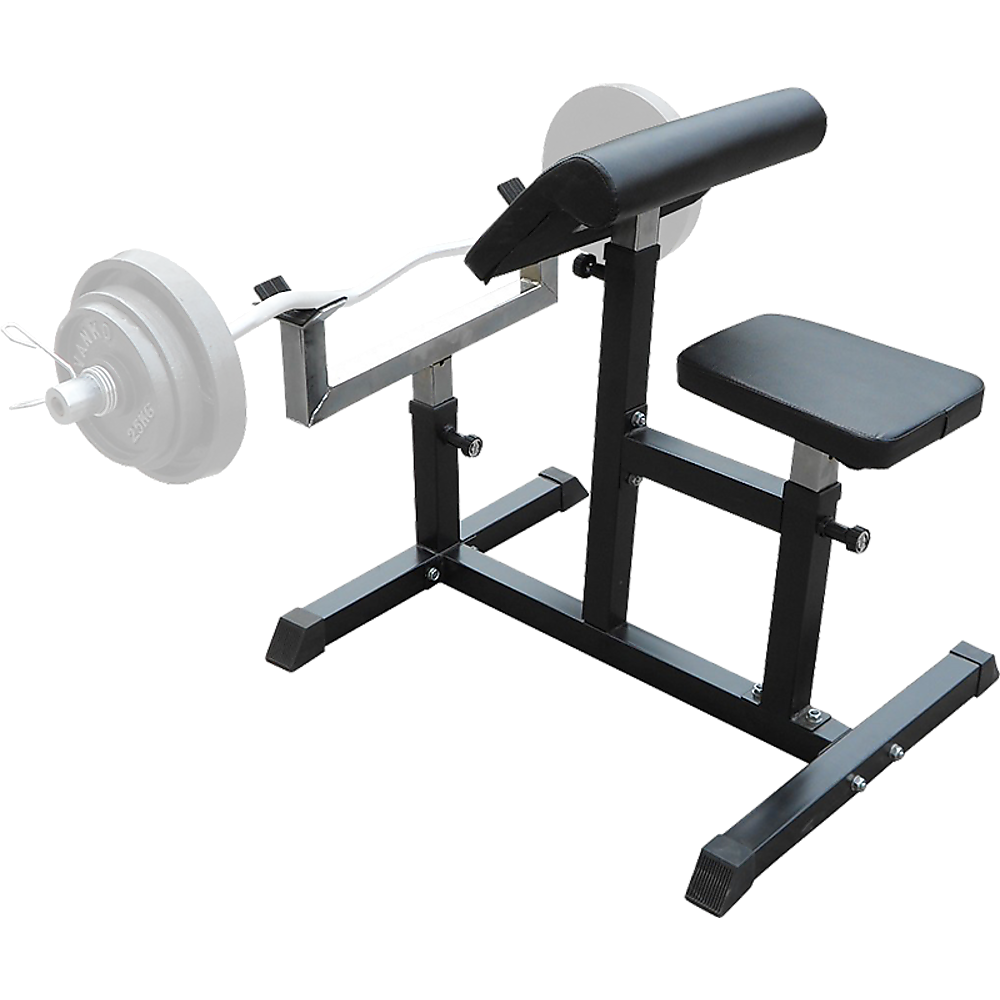 Preacher Curl Bench Weights Commercial Bicep Arms