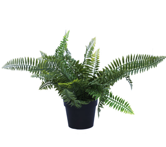 Small Potted Dark Green Fern UV Resistant 20cm