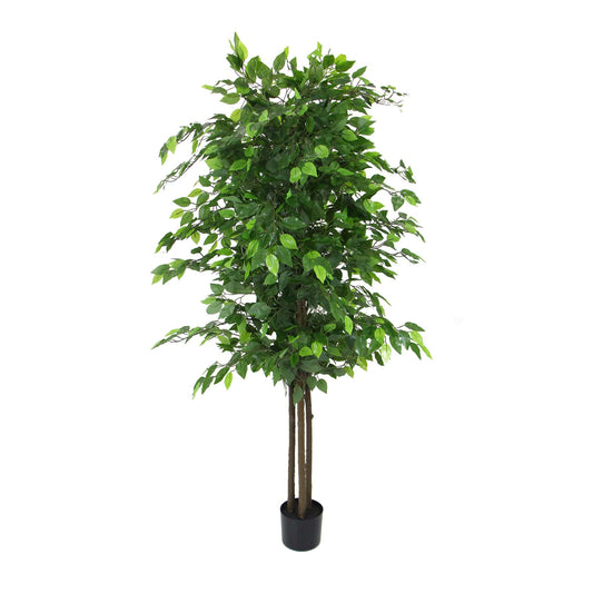 Ficus Tree 180cm UV Resistant