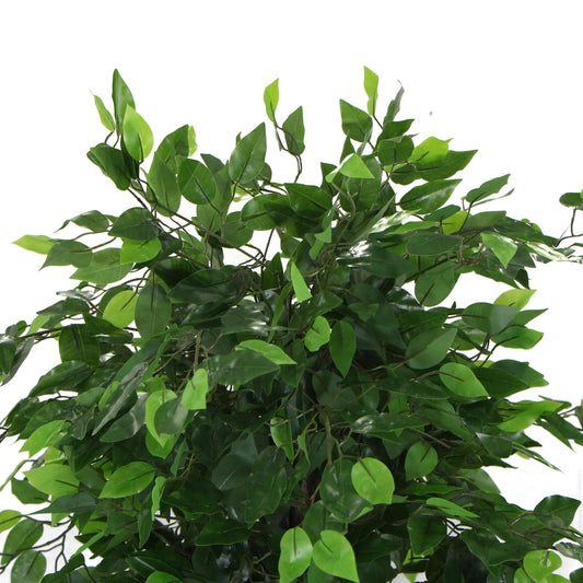 Ficus Tree 180cm UV Resistant