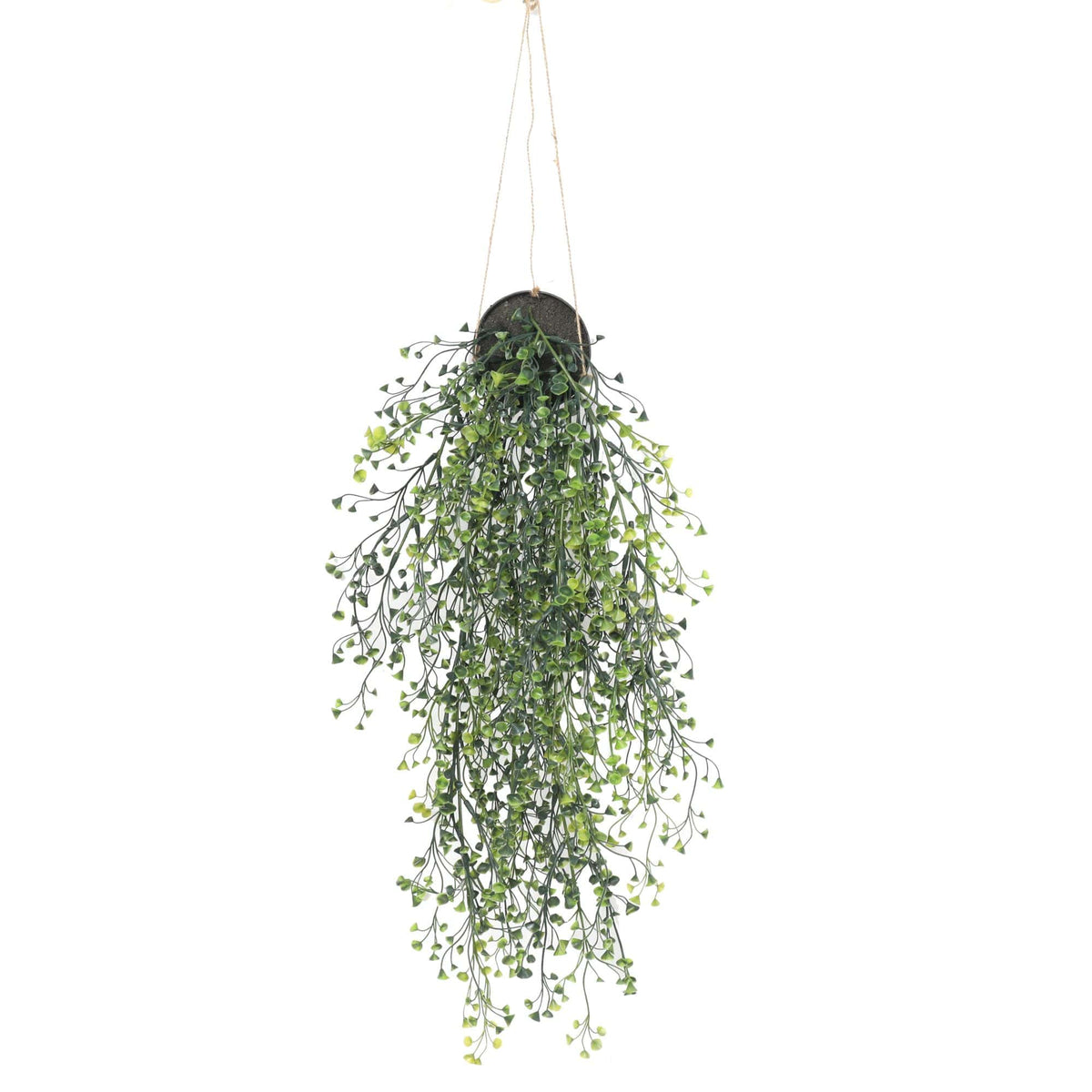 Potted Hanging Pearls Plant 56cm UV Resistant