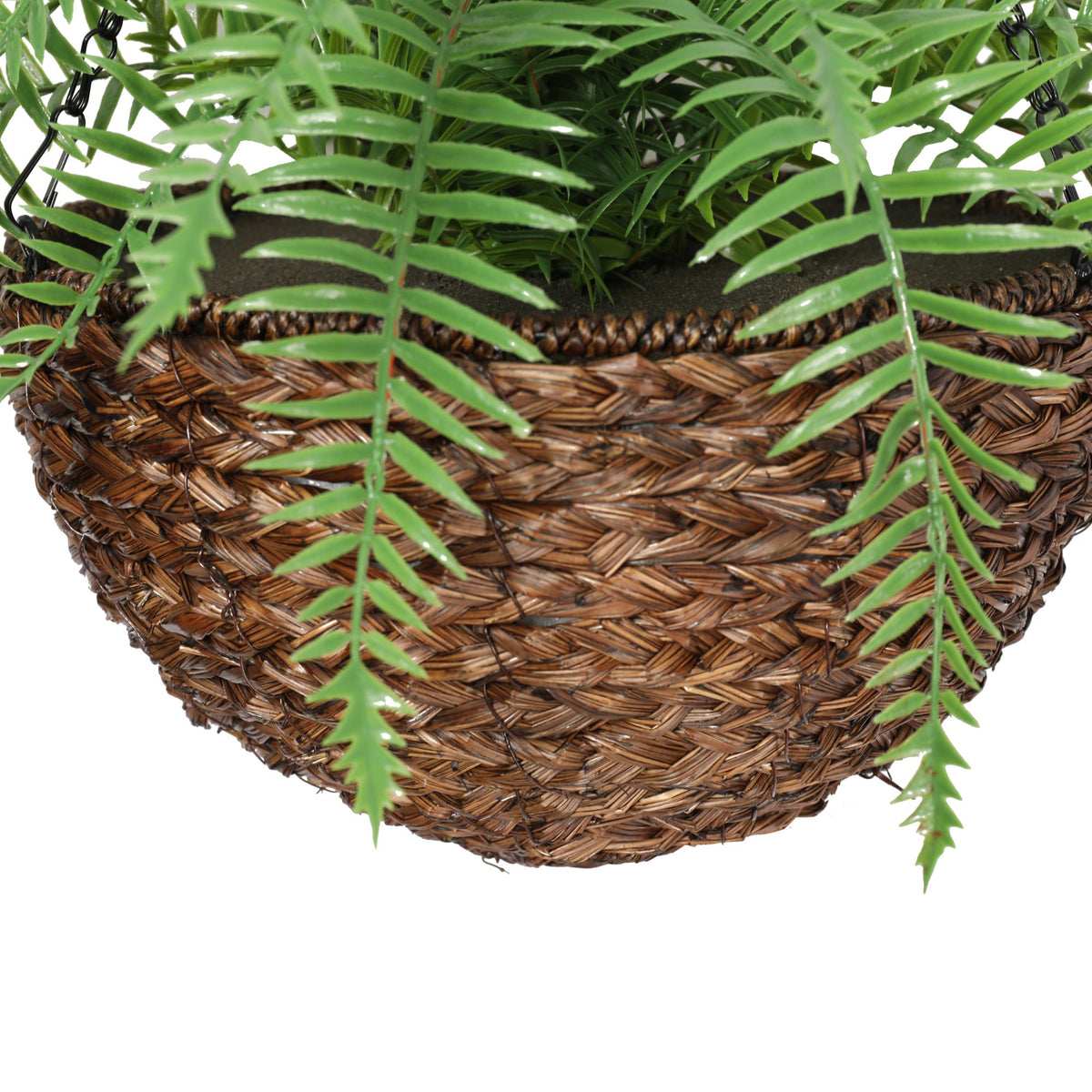 Large Fern Hanging Basket 48cm