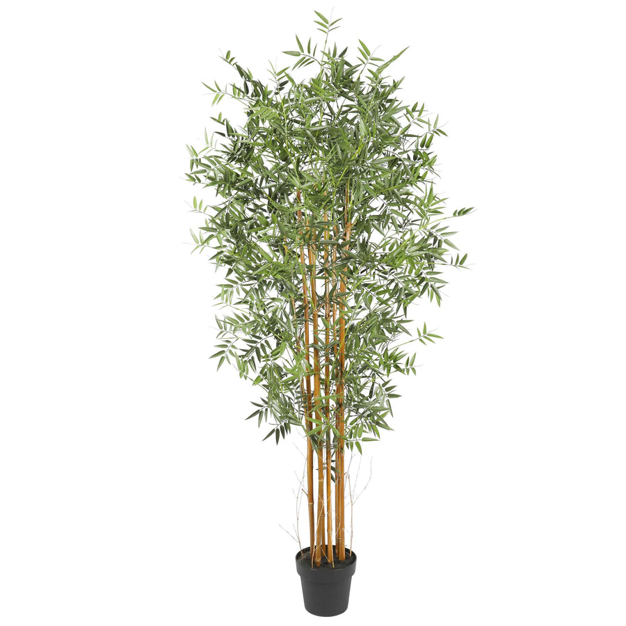 Premium Natural Bamboo UV Resistant 180cm