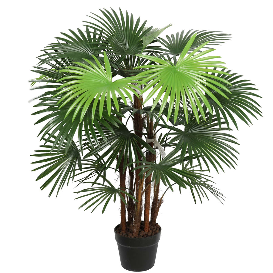 Wide Leaf Fan Palm Tree 90cm