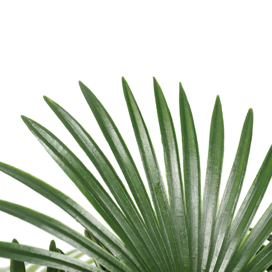 Wide Leaf Fan Palm Tree 90cm