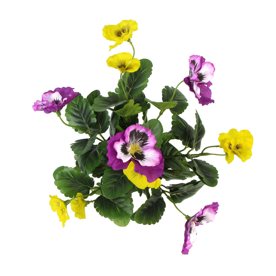 Pink And Yellow Potted Pansy 25cm