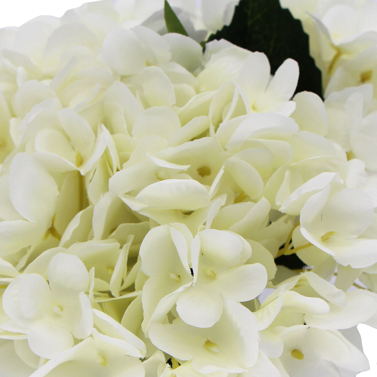 White Hydrangea With Glass Vase 23cm