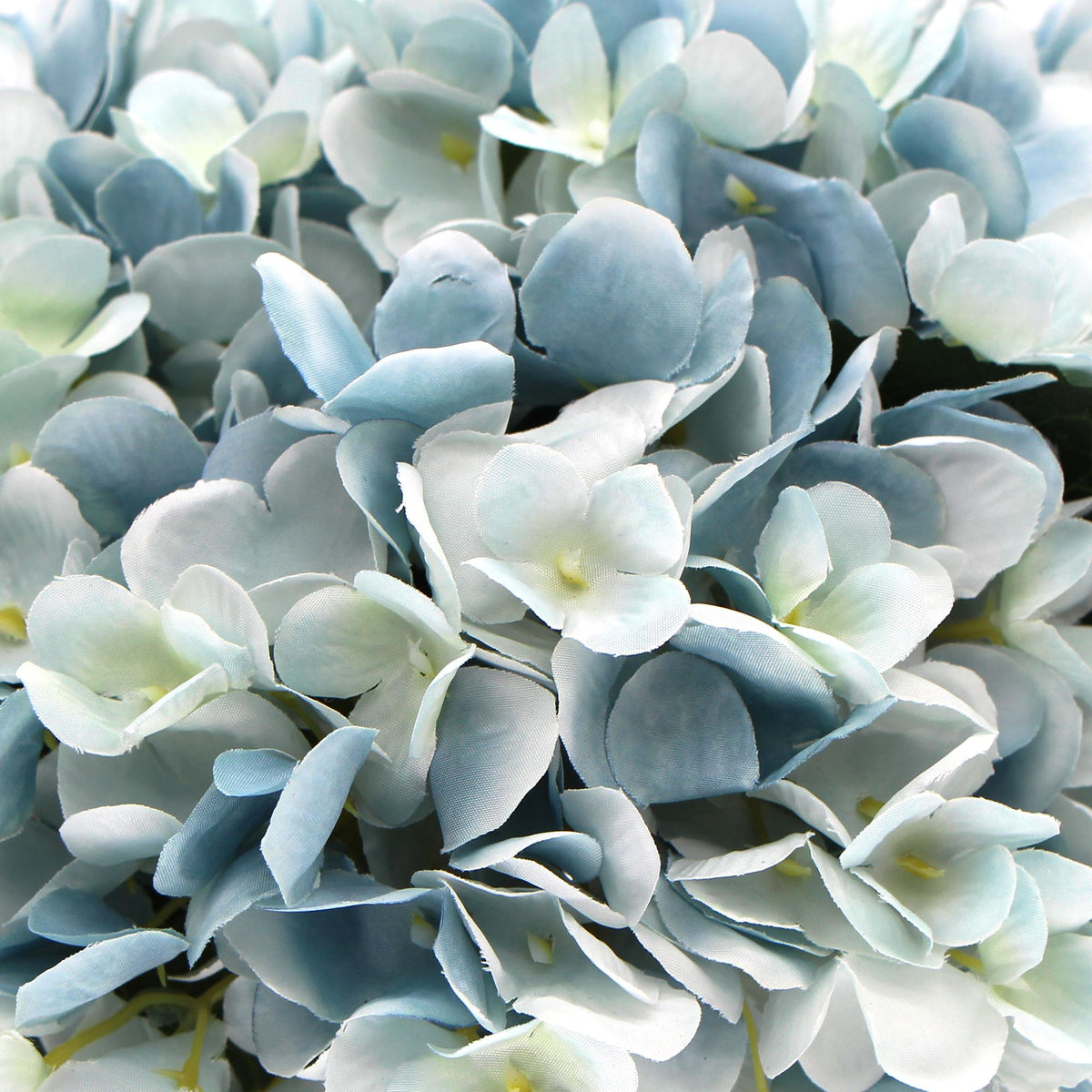 Flowering Blue Hydrangea With Glass Vase 23cm