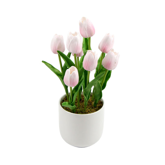 Flowering Pink Tulip in Ceramic Pot 35cm