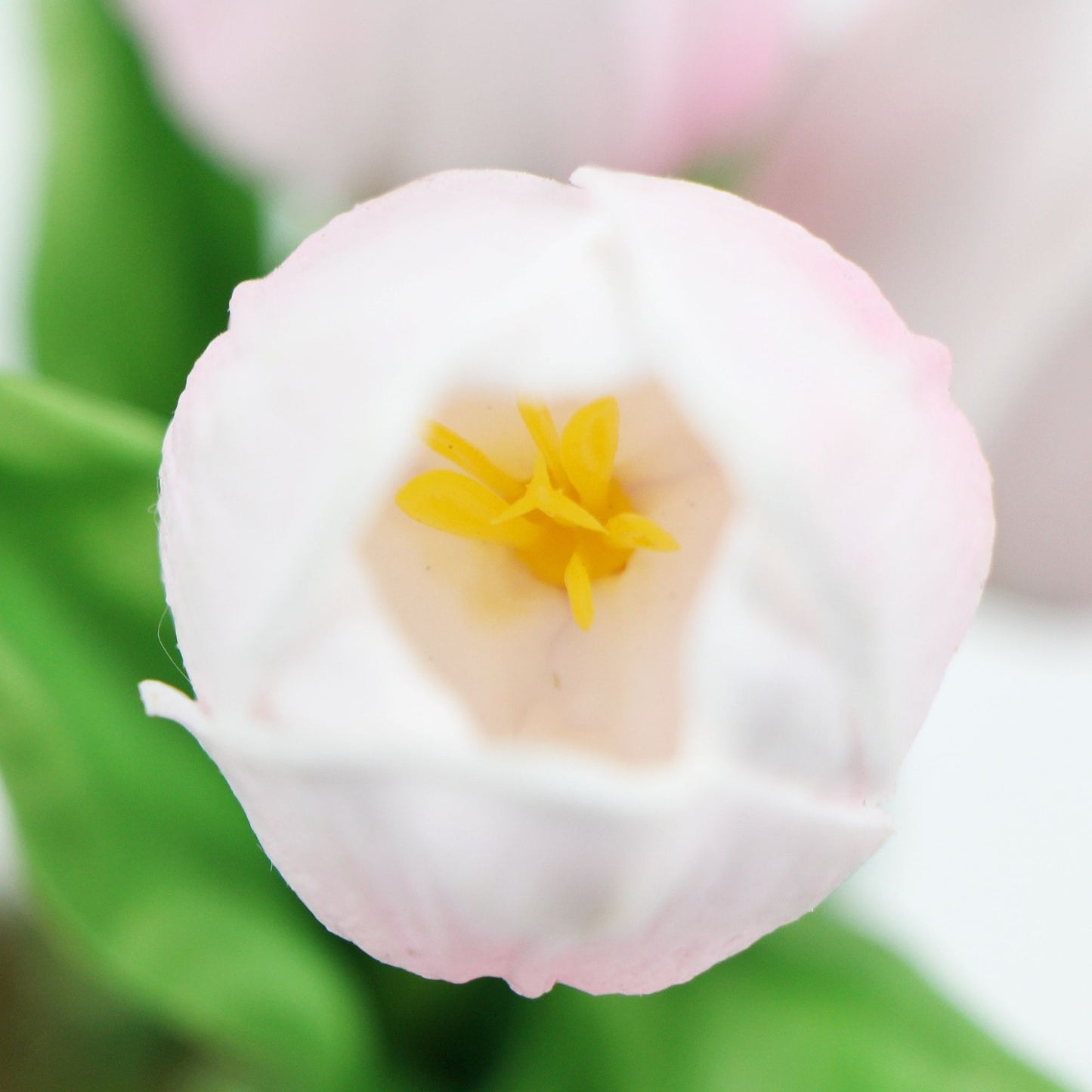 Flowering Pink Tulip in Ceramic Pot 35cm