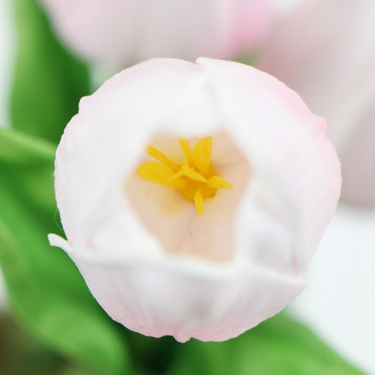 Flowering Pink Tulip in Ceramic Pot 35cm