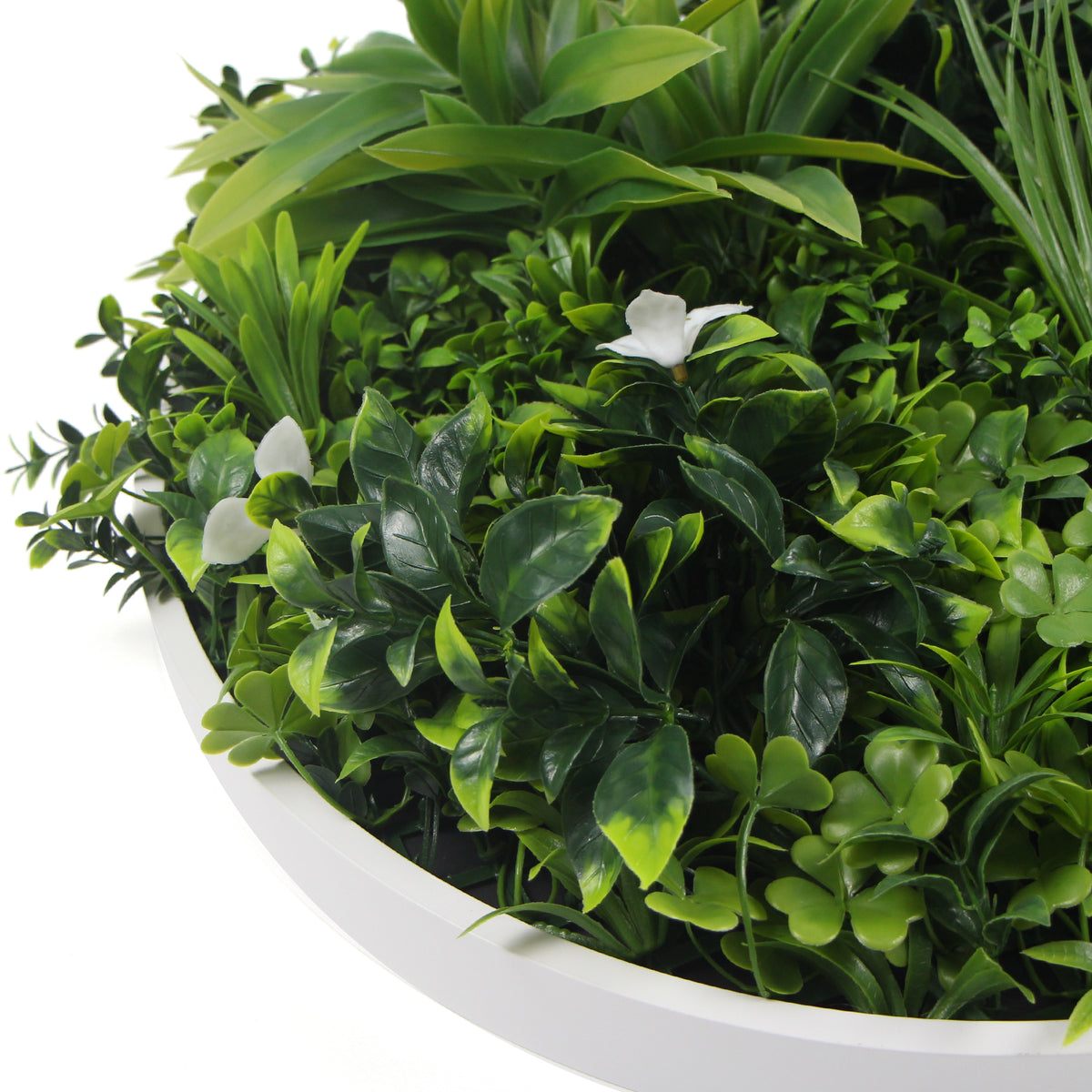 Flowering White Artificial Green Wall Disc UV Resistant 75cm (White Frame)