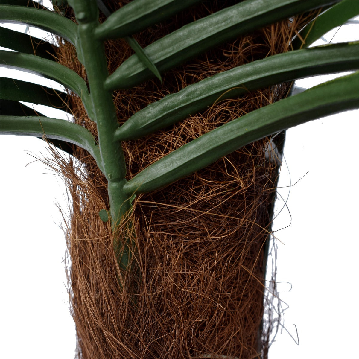 Tropical Phoenix Palm 170cm UV Resistant